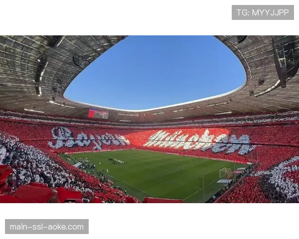 评论：VAR在德甲的应用趋于稳定，但“清晰明显错误”标准仍存争议